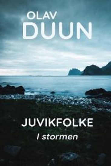 I stormen