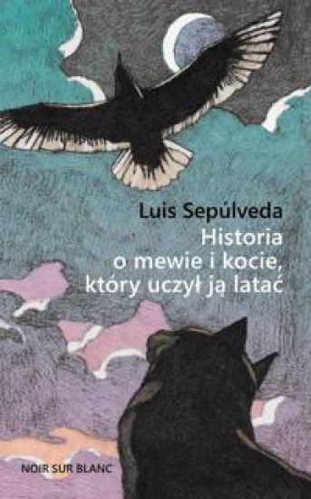 Historia o mewie i kocie, który uczyl ja latac