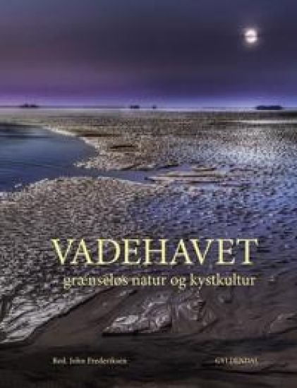 Vadehavet