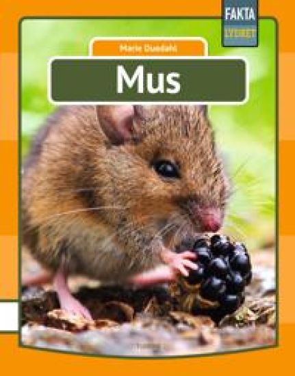 Mus