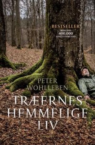 Træernes hemmelige liv