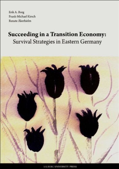 Succeeding in a Transition Economy