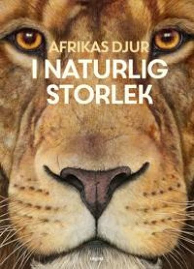 Afrikas djur : i naturlig storlek