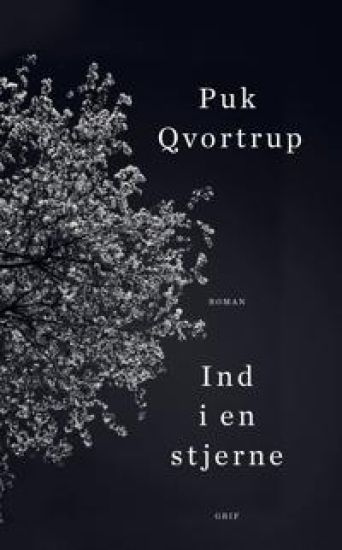 Ind i en stjerne