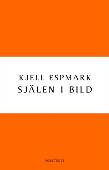 Själen i bild : en huvudlinje i modern svensk poesi