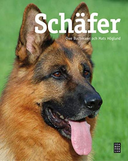 Schäfer