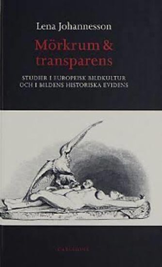 Mörkrum och transparens