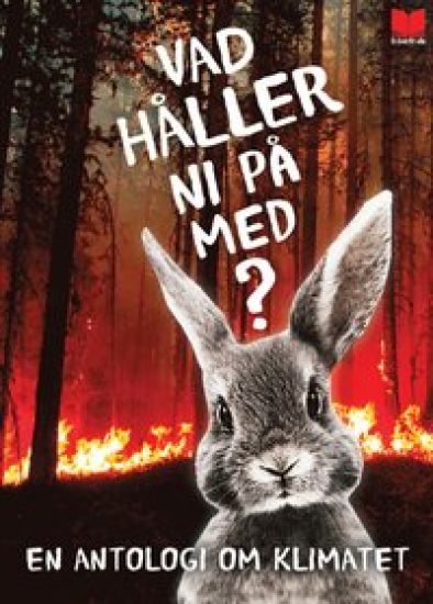 Vad håller ni på med? : en antologi om klimatet – Elisabeth Östnäs, kirjan kansikuva