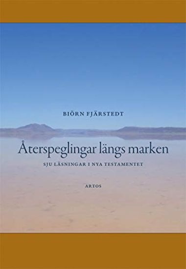 Återspeglingar längs marken : sju läsningar i Nya testamentet