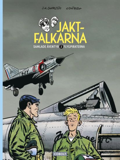 Flygpiraterna