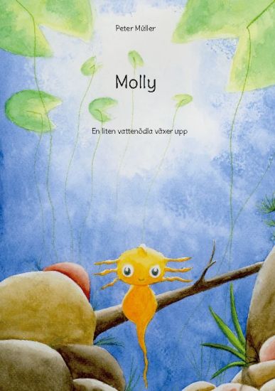 Molly : En liten vattenödla växer upp