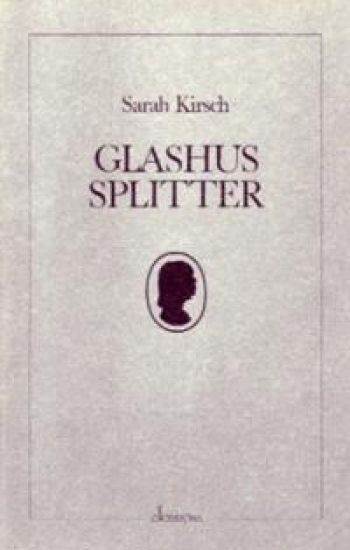Glashussplitter