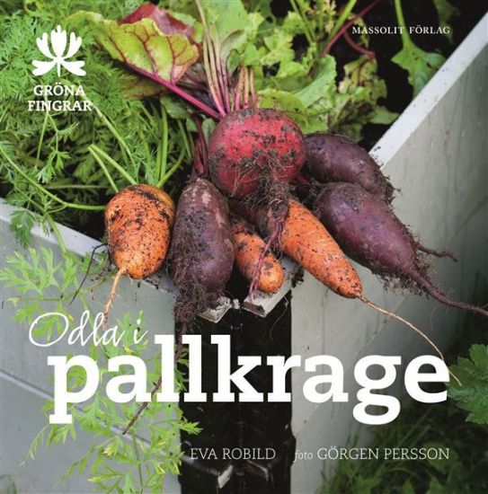 Odla i pallkrage