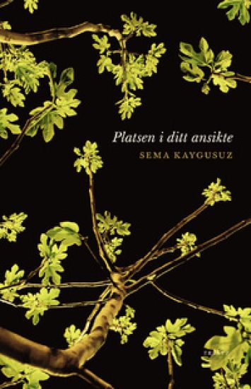 Platsen i ditt ansikte