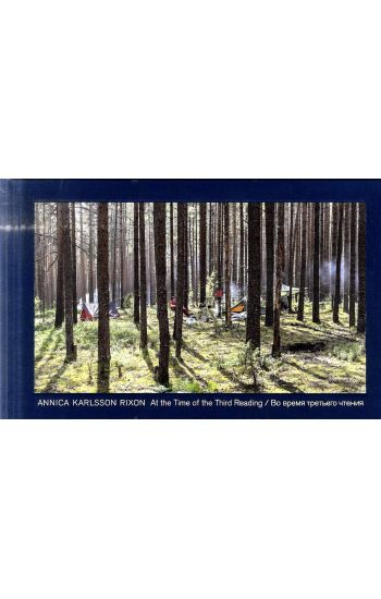 Annica Karlsson Rixon : At the time of the third reading