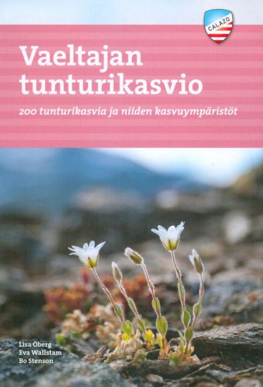 Vaeltajan tunturikasvio