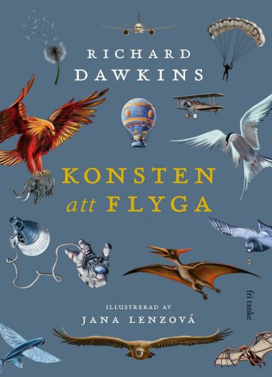 Konsten att flyga
