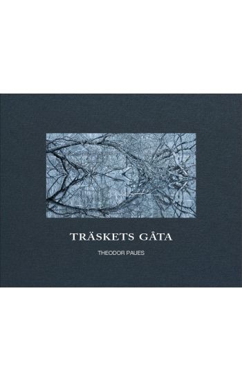 Träskets gåta