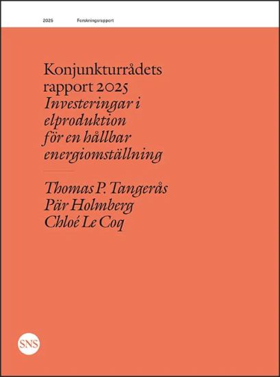 Konjunkturrådets rapport 2025: Investeringar i elproduktion