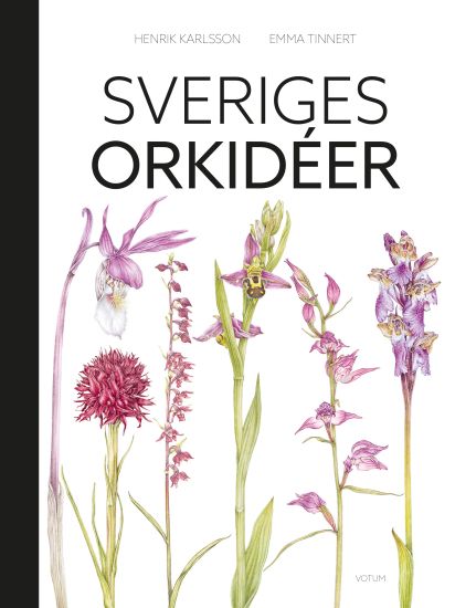 Sveriges orkidéer – Henrik Karlsson, kirjan kansikuva