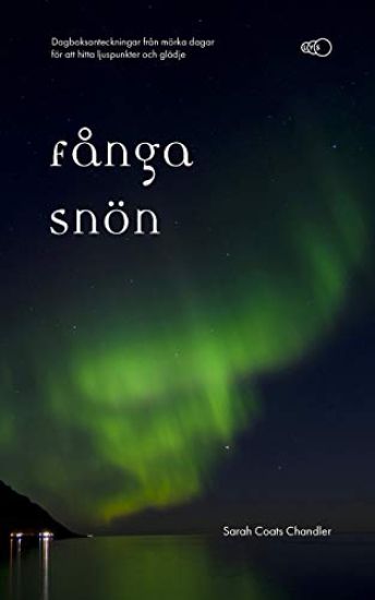 Fånga snön: Dagboksanteckningar från mörka dagar för att hitta ljuspunkter och glädje