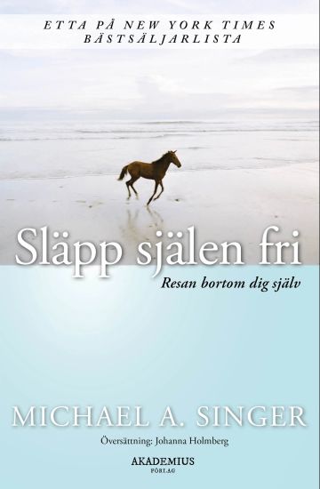 Släpp själen fri : resan bortom dig själv – Michael A. Singer, kirjan kansikuva