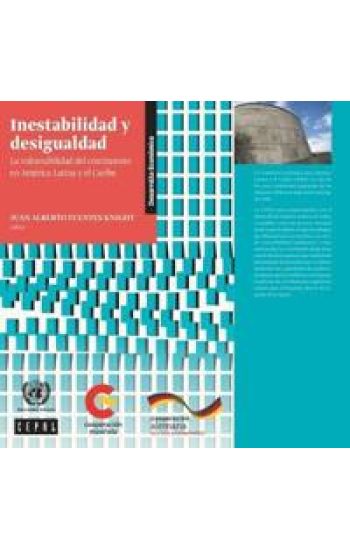 Inestabilidad y Desigualdad