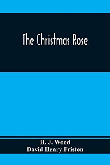The Christmas Rose