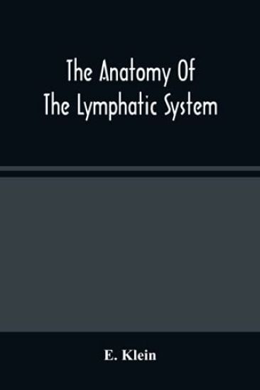 The Anatomy Of The Lymphatic System