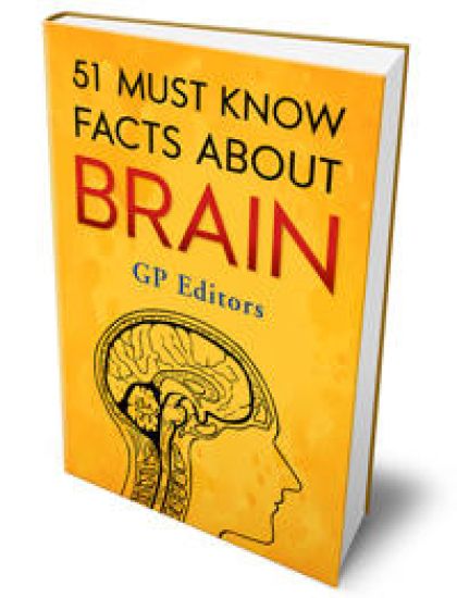 About Brain