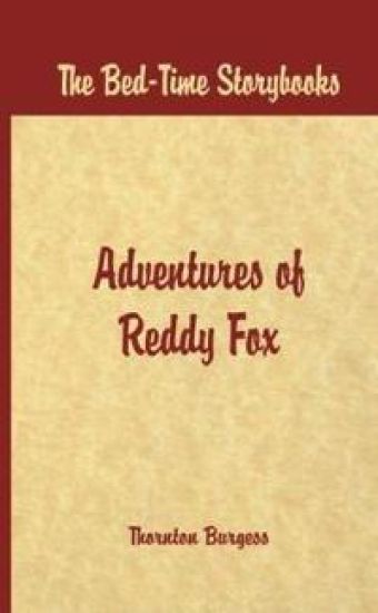 Bed Time Stories -