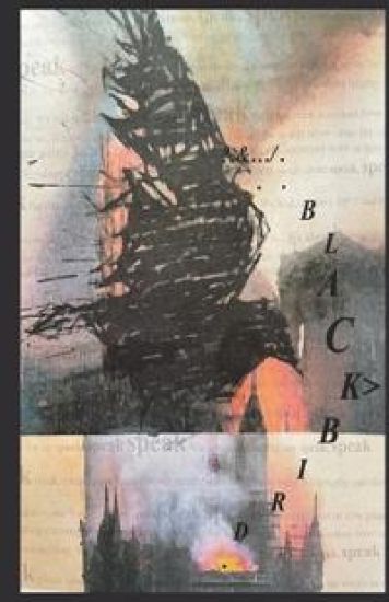 Blackbird 16