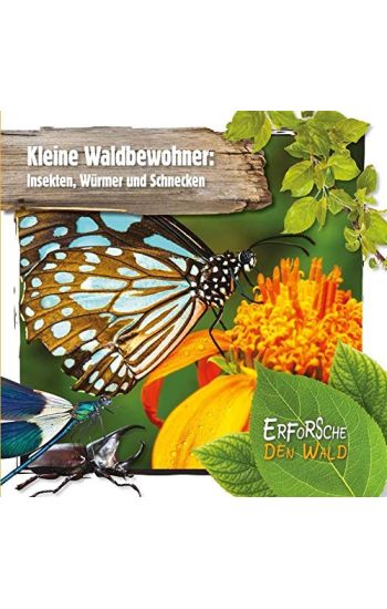 Kleine Waldbewohner: Insekten, Würmer und Schnecken