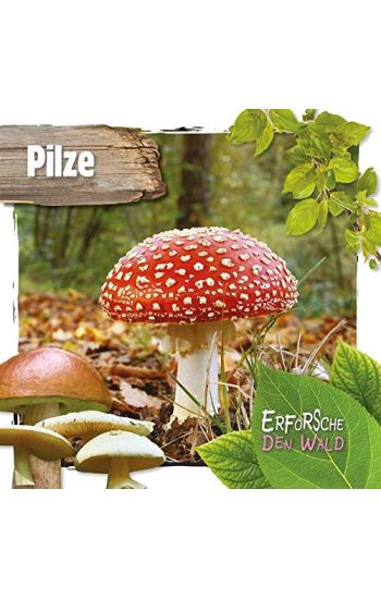 Pilze