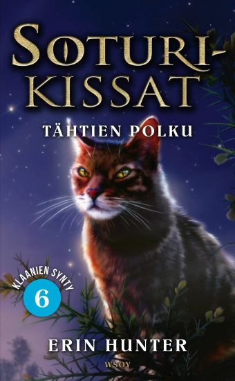 Soturikissat: Klaanien synty 6: Tähtien polku – Erin Hunter, kirjan kansikuva