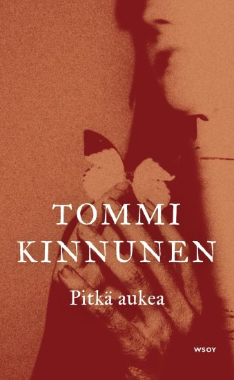 Pitkä aukea