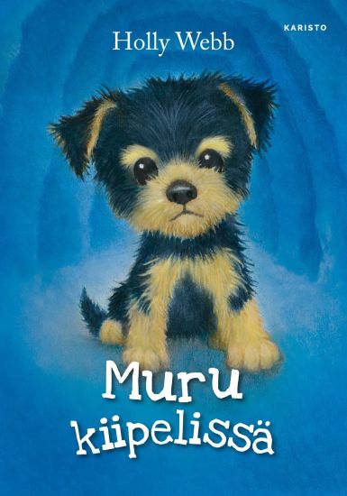 Muru kiipelissä
