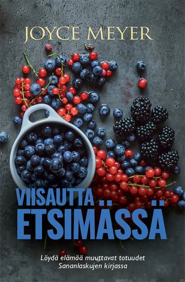Viisautta etsimässä