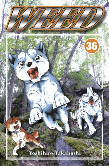 Weed 36 – Yoshihiro Takahashi, kirjan kansikuva