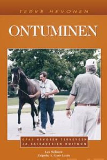 Ontuminen