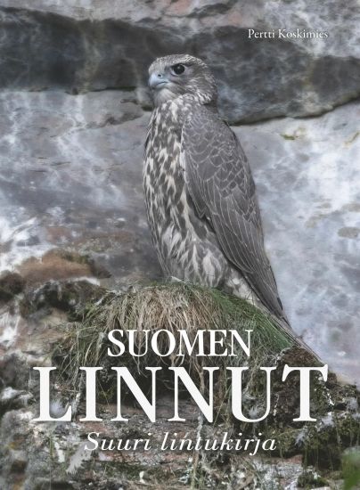 Suomen linnut - Suuri lintukirja – Pertti Koskimies, kirjan kansikuva