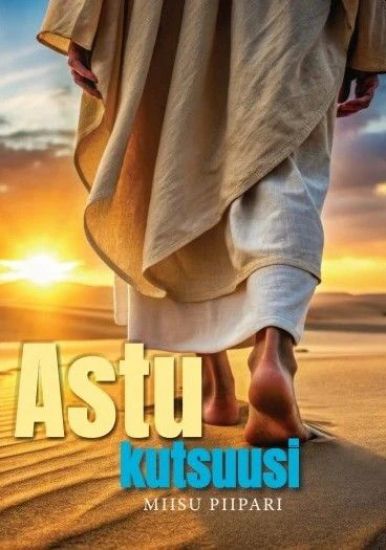 Astu kutsuusi – Miisu Piipari, kirjan kansikuva