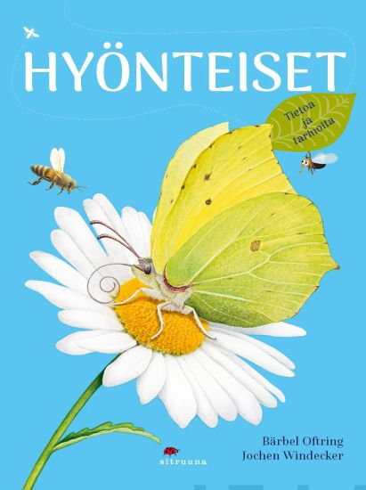 Hyönteiset