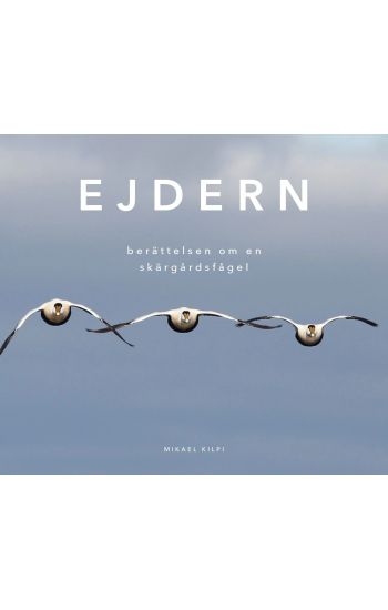 Ejdern