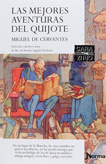 Las Mejores Aventuras del Quijote