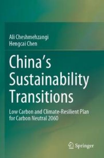 China's Sustainability Transitions