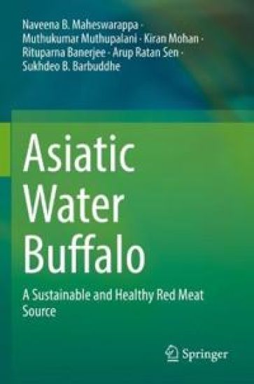 Asiatic Water Buffalo