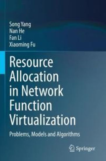 Resource Allocation in Network Function Virtualization