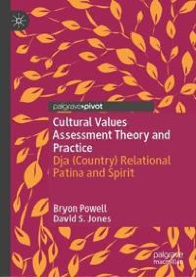 Cultural Values Assessment Theory and Practice