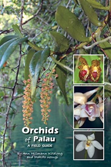 Orchids of Palau: A Field Guide